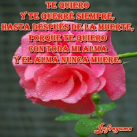 /album/fotogaleria/te-quiero3-jpg/